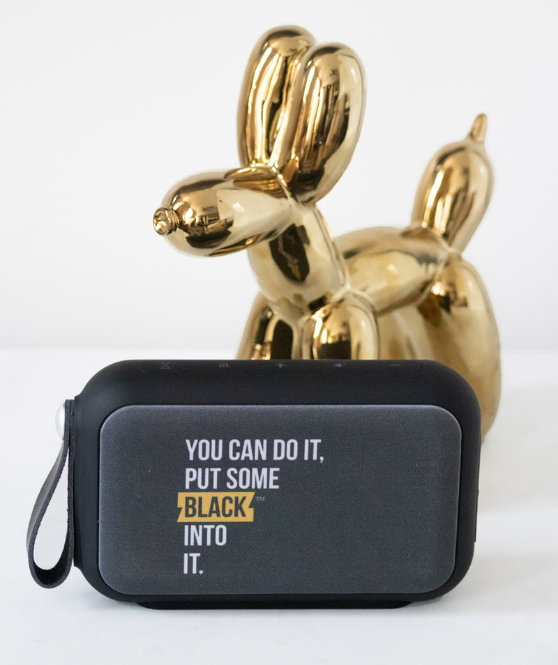 PSBII -  Bluetooth Speaker